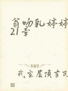 翁吻乳婷婷小玲21章封面