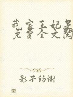 我家王妃是逗比免费全文阅读