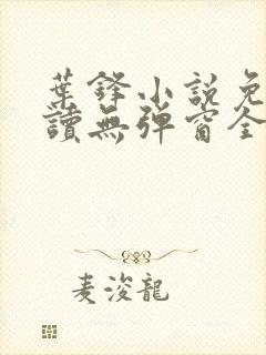 叶锋小说免费阅读无弹窗全文