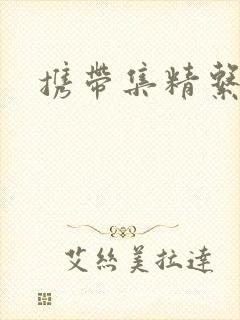 携带集精系统