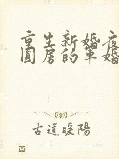 重生新婚夜正在圆房的军婚