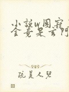 小说w团宠真千金竟是玄门大佬》