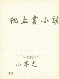 枕上书小说