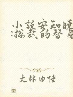 小说安知晓作品:总裁的替身前妻完整版