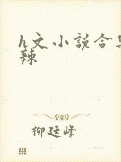 h文小说合集高辣