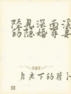 陆见深南溪陆少的隐婚罪妻