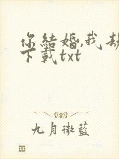 你结婚,我劫婚下载txt封面