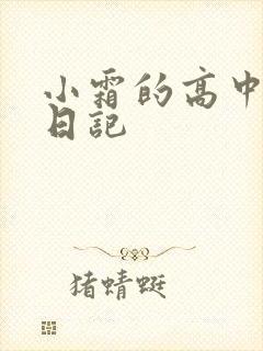小霜的高中成长日记封面