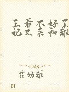王爷不好了,王妃又来和离了免费阅读封面