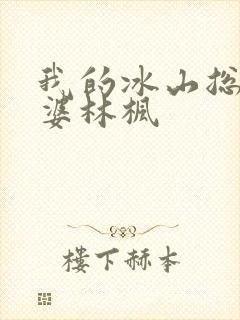 我的冰山总裁老婆林枫封面