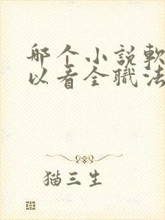 哪个小说软件可以看全职法师小说