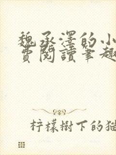 魏承泽的小说免费阅读笔趣阁