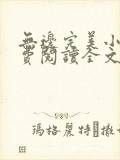 无边完美小说免费阅读全文最新章节封面