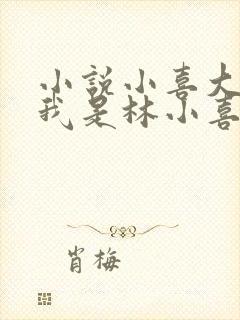 小说小喜大家好我是林小喜今年19岁封面