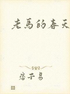 老马的春天封面