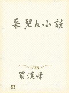采儿h小说封面