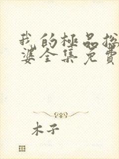 我的极品总裁老婆全集免费