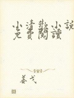 小清欢小说全文免费阅读