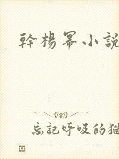 干杨幂小说