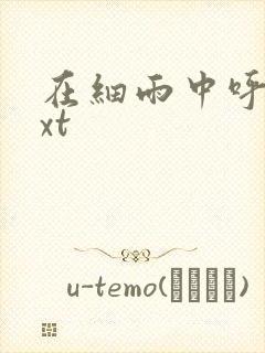 在细雨中呼喊txt