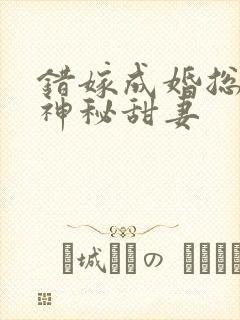 错嫁成婚总裁的神秘甜妻
