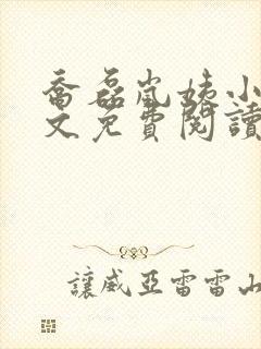乔磊岚姨小说全文免费阅读
