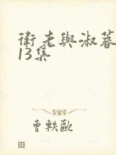 卫老与淑蓉1一13集