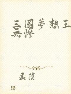三国梦想王元姬无惨封面
