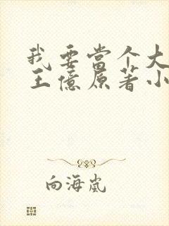 我要当个大坏蛋王亿原著小说免费
