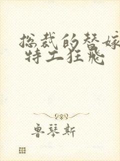 总裁的替嫁新娘 特工狂飞封面