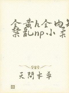 全黄h全肉短篇禁乱np小柔