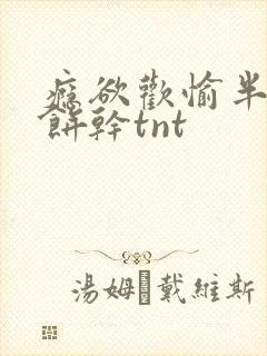 瘾欲欢愉半块小饼干tnt