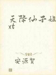 天降仙子姐姐txt
