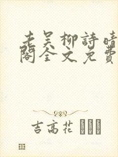 老吴柳诗晴笔趣阁全文免费阅读封面