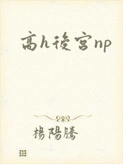 高h后宫np