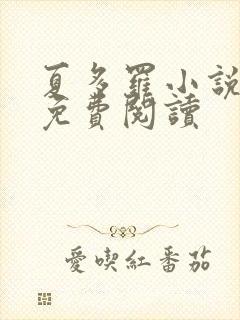 夏多罗小说全文免费阅读