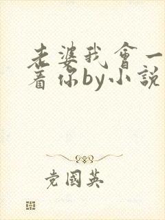 老婆我会一直缠着你by小说免费阅读