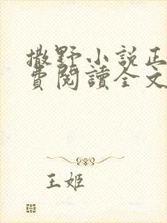 撒野小说正版免费阅读全文无删减