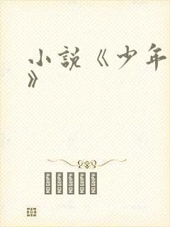 小说《少年阿宾》