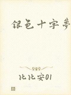 银色十字梦封面