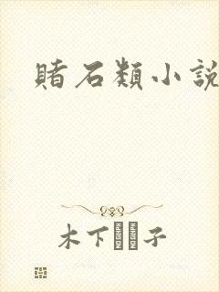 赌石类小说封面