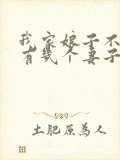 我家娘子不对劲有几个妻子封面