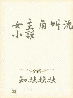 女主角叫沈妩的小说