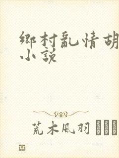 乡村乱情胡秀英小说封面