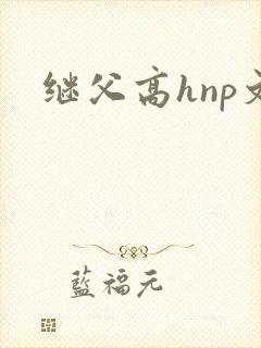 继父高hnp文