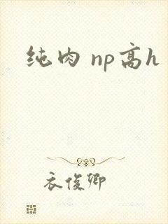 纯肉 np高h封面