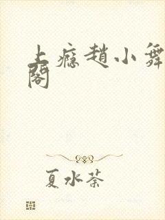 上瘾赵小舞笔趣阁