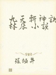 九天斩神诀小说林辰 小说