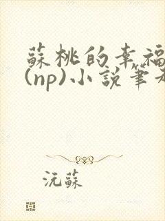 苏桃的幸福生活(np)小说笔趣阁沐沐