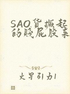 SAO货撅起你的贱屁股来